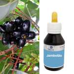 Extrato fluído de Syzygium jambolanum - Jambolão.