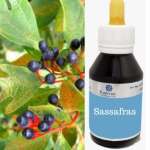 Extrato Fluído Laurus Sassafras - Sassafrás.