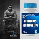 TRIBULUS TERRESTRIS 250MG 60CAPS