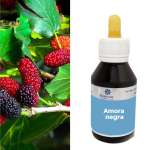 Extrato fluído de Morus Nigra - AMORA