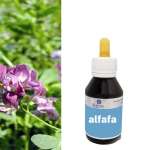 Extrato fluído de Mendicago Sativa - ALFAFA