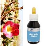 Extrato fluído de Harpagophytum procum - Garra do Diabo.