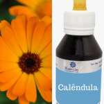 Extrato Fluido de Calêndula officinalis - Calêndula.