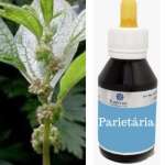 Extrato Fluído de Parietaria Officinallis - Parietária.