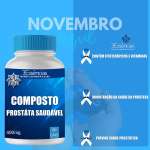 COMPOSTO PROSTÁTA SAUDÁVEL 400MG 60CAP